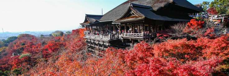 Top 10 Temples and Shrines to Visit in Kyoto